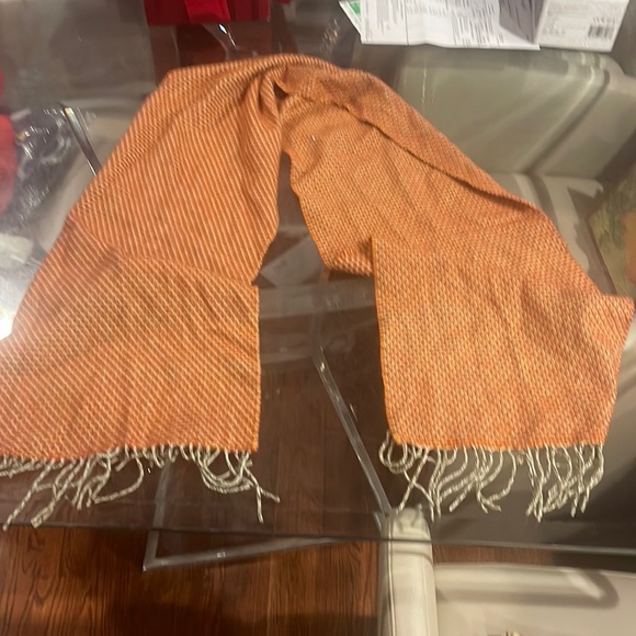 Softer than Cashmere burnt orange with gray fringe scarf - Picture 1 of 3